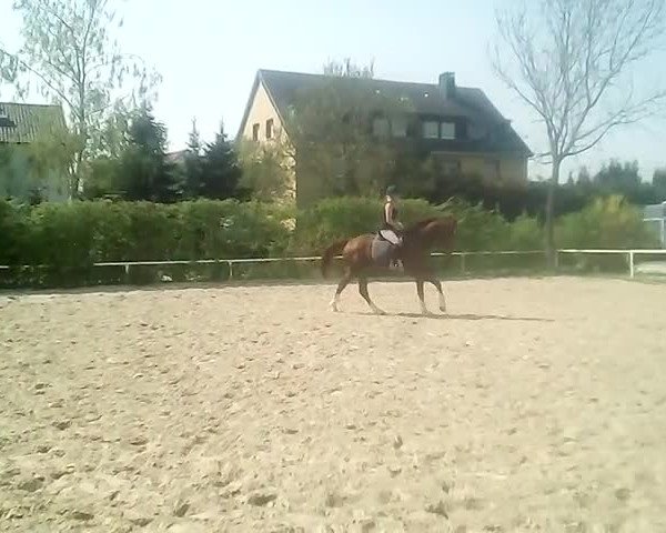 Video von Fradie