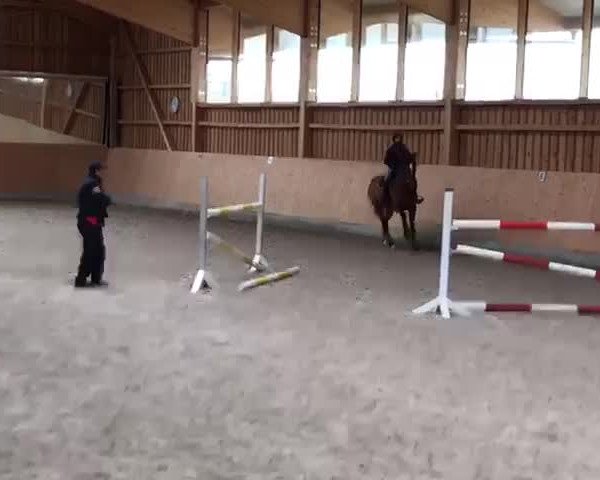 Video of Nick-Nack