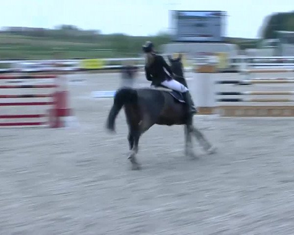 Reitturnier Sauldorf-Boll 2018