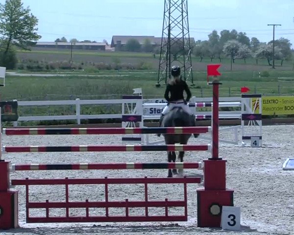 Reitturnier Sauldorf-Boll 2018