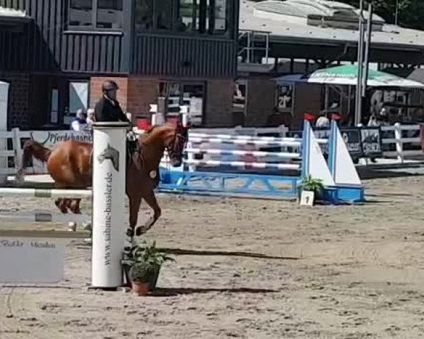 Video di Elbaacky S