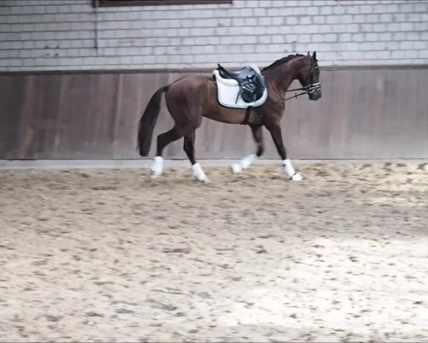 Video of Carlos 783