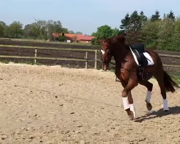 Video of Don Athello