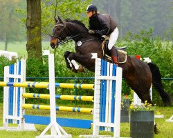 jumper Lorien 6 (Hanoverian, 2001, from Landor S)