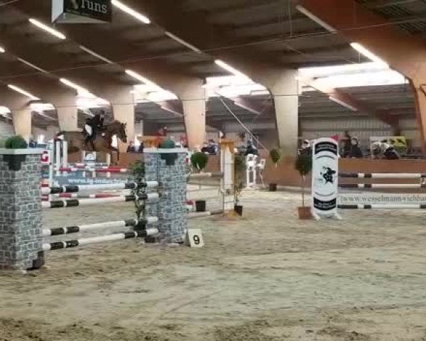 Video of Fire-Star