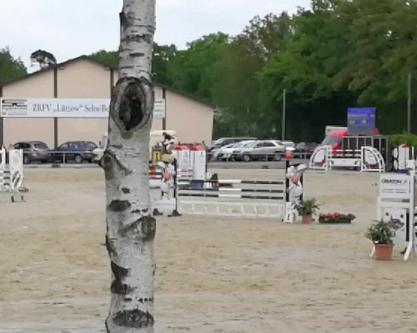 Reitturnier Olfen-Vinnum 2018