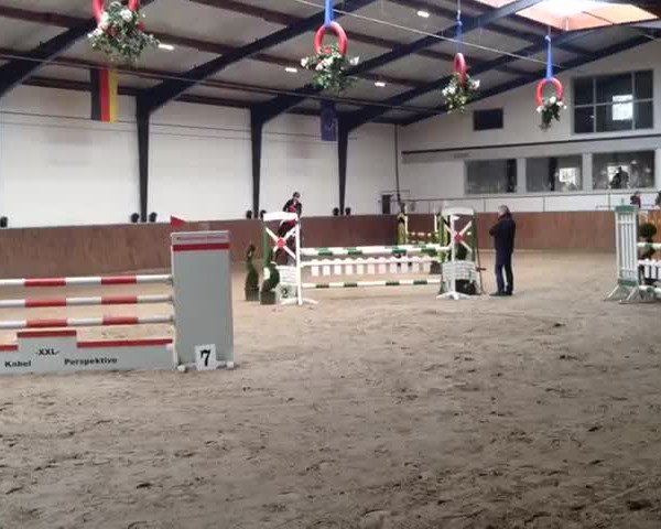 Video of Quebelle de la cour