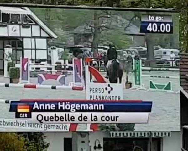 Video of Quebelle de la cour