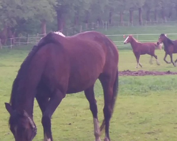 Video von Can Fly