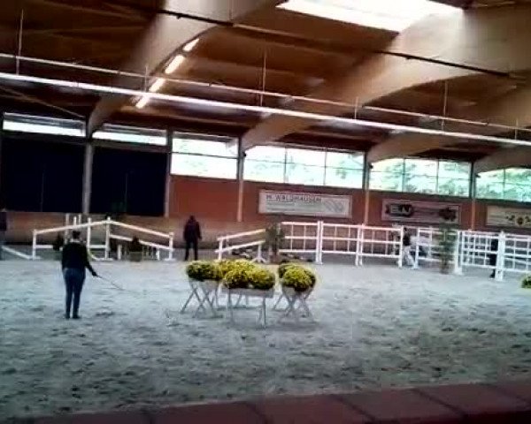 Video von Can Fly