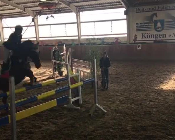Video of Decor 9
