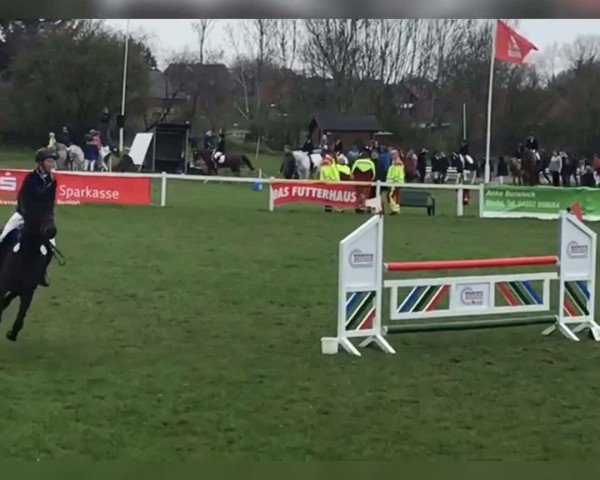 Equestrian Show Waabs 2018