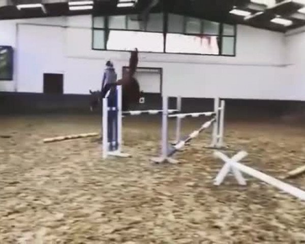 Video von Fiona Famina