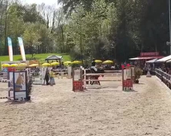 Video of Celcius