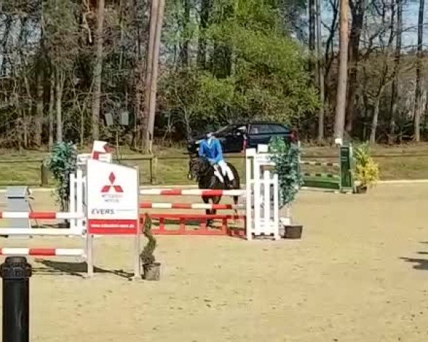 Video of Cookie Dancer O