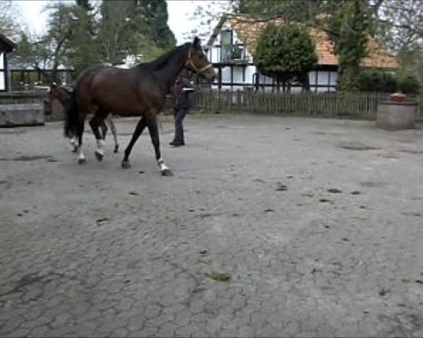 Video von Clash 6