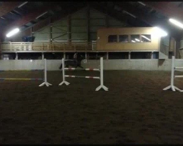 Video of Pilar