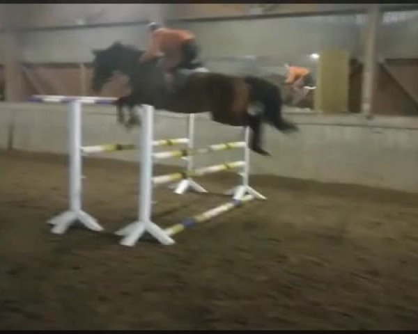 Video of Pilar