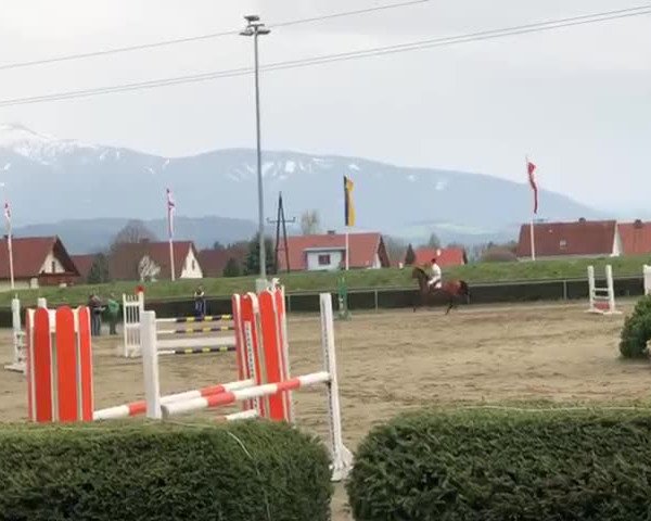 Video of Pilar
