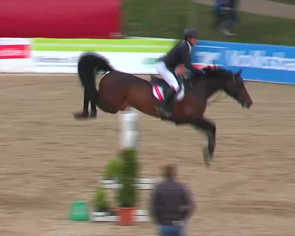 Video of Contendrix