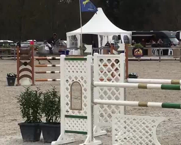 Video of California Pie