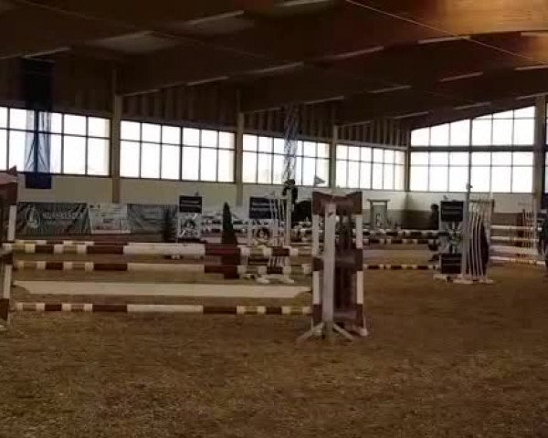 Video von For Glory 4
