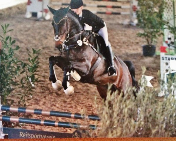 jumper Dunja 872 (Westphalian, 2002, from Danny de Vito 2)