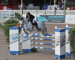 jumper Angeldust (German Sport Horse, 2005, from Askano)