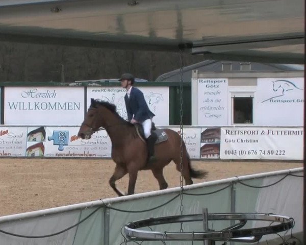 Video of Lancelot 367