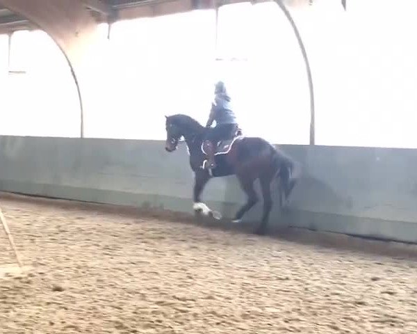 Video von Liquer 3