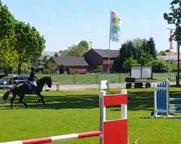Video von Liquer 3