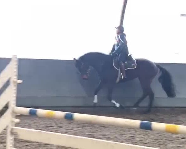 Video von Liquer 3