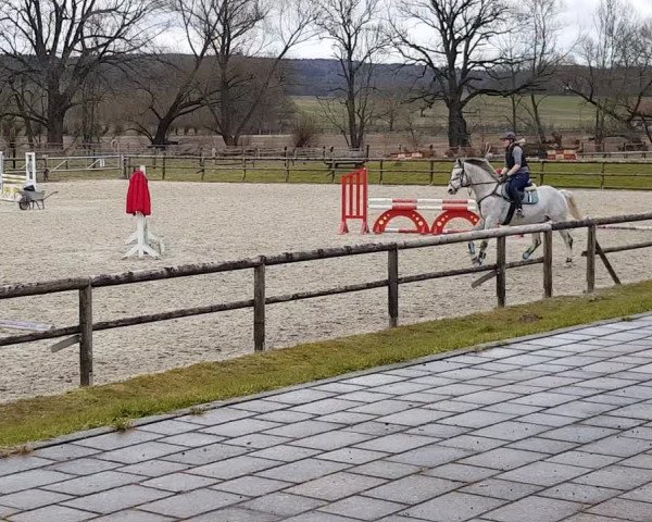 Video von Cooper 185