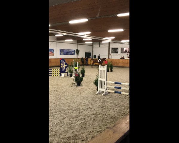 Video of Whaity 2