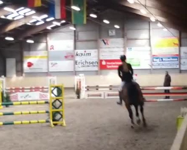 Reitturnier Leck 2018