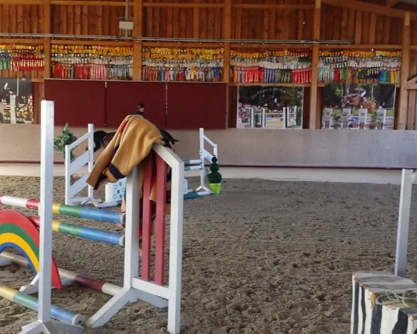 Video of Hello Pezi