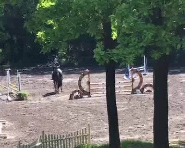 Video von Querjac de L'Ain