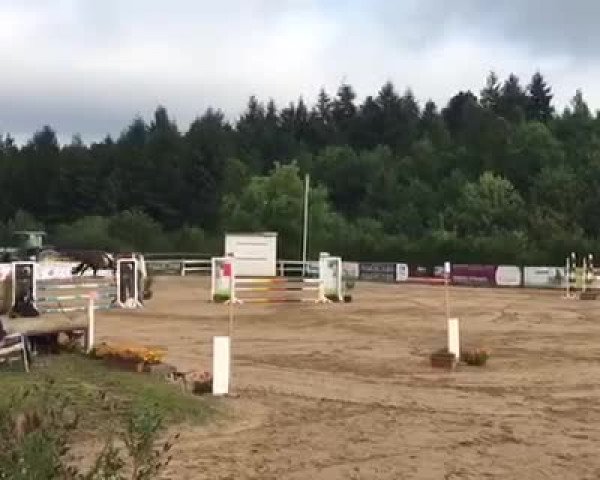 Video von Querjac de L'Ain