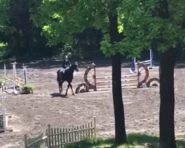 Video von Querjac de L'Ain