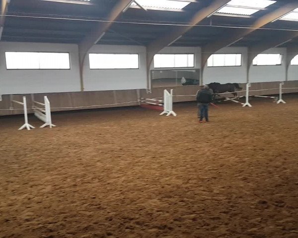 Video von Miss Balou