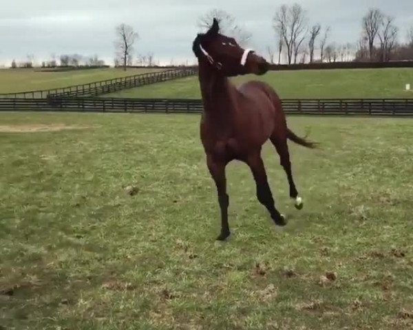 Video of Fast Anna xx