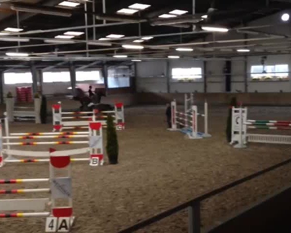 Reitturnier Waghäusel-Wiesental 2018