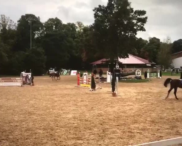 Video di Winchita