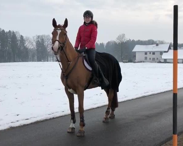 Video di Winchita