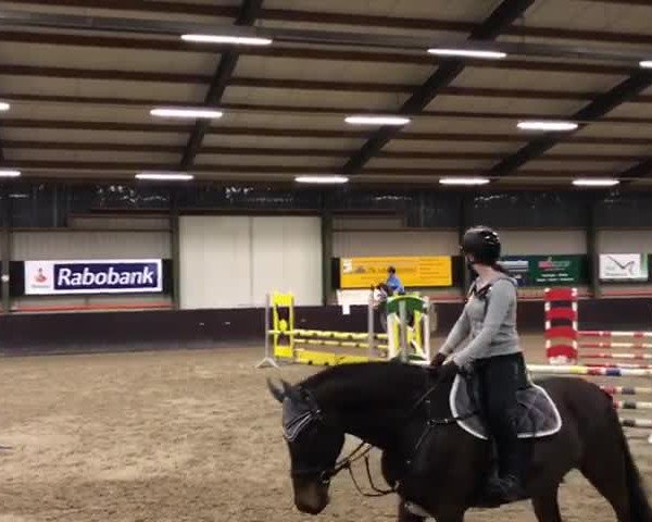Video of La Jolie D
