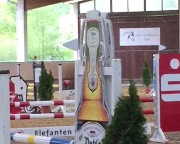 Reitturnier Oelde 2017