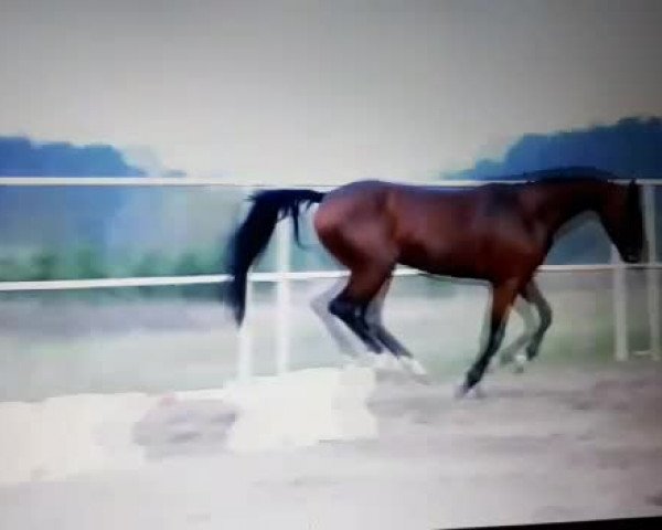 Video von Clinton's Boy 3