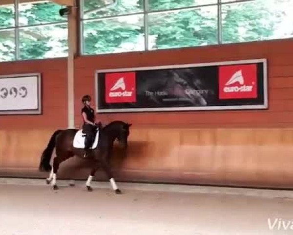 Video von Don Royal 14