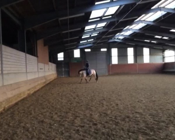 Video von Cross Fire