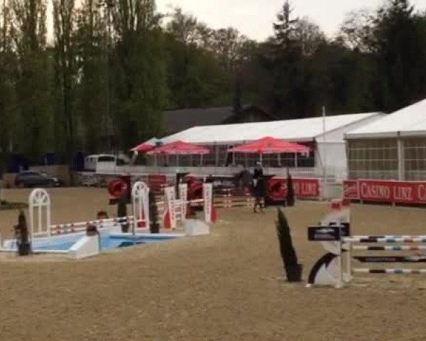 Video von Eddy E